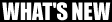 what.gif (776 �o�C�g)
